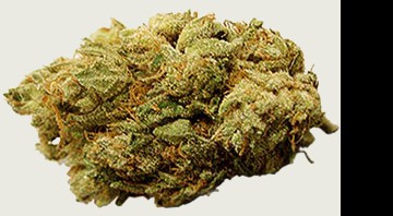 Cannabis que vira pirulito, chiclete, muffin, etc, etc - Divulgação