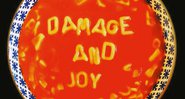 Damage and Joy - Divulgação