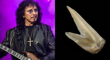 O guitarrista do Black Sabbath, Tony Iommi (Foto: Reprodução / Facebook)/ Drepanoistodus iommii (Foto: The European Journal of Taxonomy)